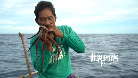世界厨房第76集:菲律宾渔民海里捉到活章鱼,竟然直接用嘴咬死